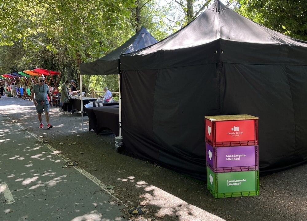 Caepa plegable 3x3 m